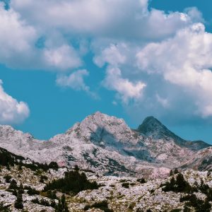 Berge